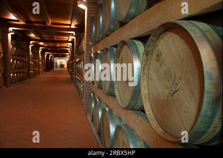 Cantina di Santadi, Sardinien, Italien, Europe Barrel; Santadi; Sardinien; Sardinisch; Traditionen; Typisch; Flasche; Wein; Weingut; Vermentino; Carignano; Mo Stockfoto