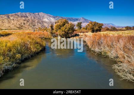 Owens River in Owens Valley, Sierra Nevada in der Ferne, Spätherbst, nahe Big Pine, Kalifornien, USA Stockfoto