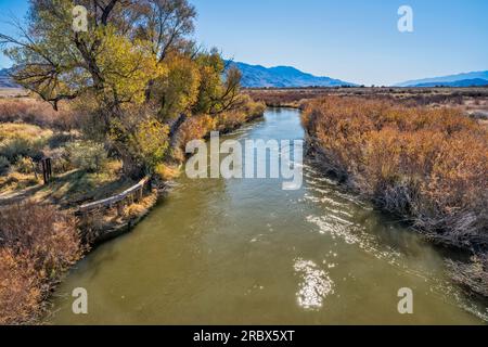 Owens River in Owens Valley, Sierra Nevada in der Ferne, Spätherbst, nahe Big Pine, Kalifornien, USA Stockfoto