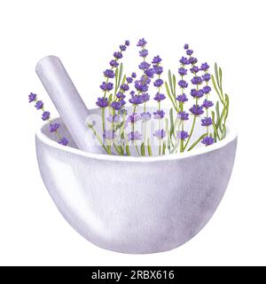 Weißer Becher mit Lavendelzweigen, Blumen und Blättern. Schüssel und Stößel. Aromatherapie, Spa, Bad. Handzeichnung in Aquarellfarben, isoliert auf weißem Hintergrund Stockfoto