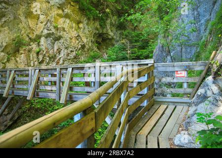 Wandern in der Wolfsklamm-Schlucht in Stans, Tirol - Österreich Stockfoto