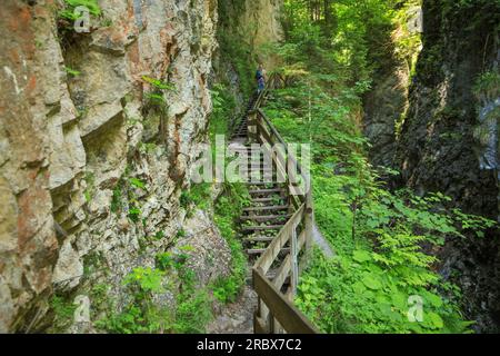 Wandern in der Wolfsklamm-Schlucht in Stans, Tirol - Österreich Stockfoto