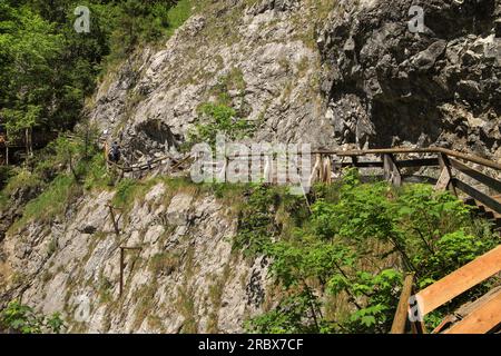 Wandern in der Wolfsklamm-Schlucht in Stans, Tirol - Österreich Stockfoto