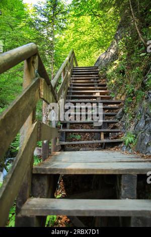 Wandern in der Wolfsklamm-Schlucht in Stans, Tirol - Österreich Stockfoto