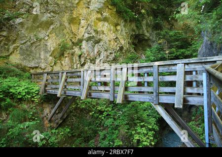 Wandern in der Wolfsklamm-Schlucht in Stans, Tirol - Österreich Stockfoto