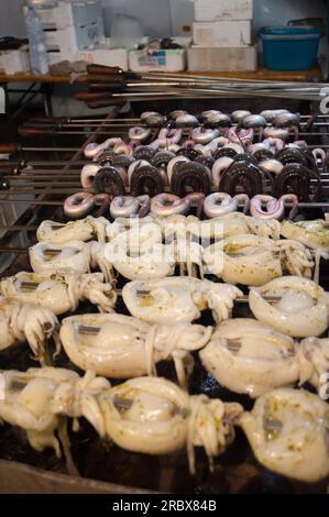 Tintenfisch und Aal auf der Spieße, typisches sardinisches Rezept, Campidano, Sardinien, Italien, Europa Stockfoto