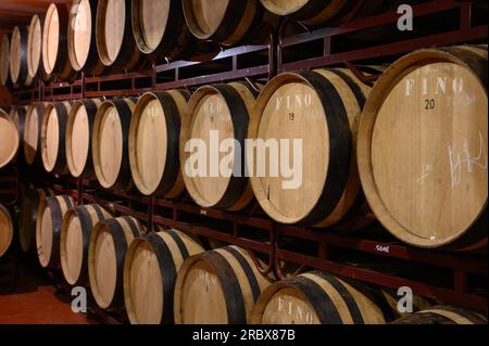 Herstellung von angereicherten jerez-, Xeres- und Sherry-Weinen in französischen Eichenfässern im Sherry-Dreieck, Jerez la Frontera, El Puerto Santa Maria und Sanlucar Bar Stockfoto