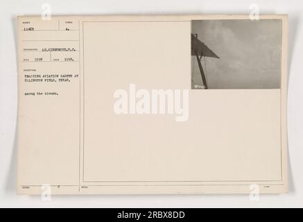 Ausbildung von Flugzeugkadetten in Ellington Field, Texas. Das Foto zeigt Kadetten auf dem Feld während einer Übung zum Cloud-Training. Das Bild mit der Nummer 11465, das 1918 von LT. Kingsmore aufgenommen wurde, gibt einen Einblick in die Flugausbildung im Ersten Weltkrieg Stockfoto