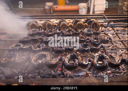 Aale auf der Spieße, typisches sardinisches Rezept, Campidano, Sardinien, Italien, Europa Stockfoto