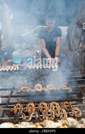 Meerbarbe, Tintenfisch und Aal auf der Spieße, typisches sardinisches Rezept, Campidano, Sardinien, Italien, Europa Stockfoto