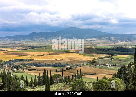 Malerische Landschaft der Toskana mit goldenen und grünen sanften Hügeln und isolierten Zypressen vor blauem Himmel Stockfoto