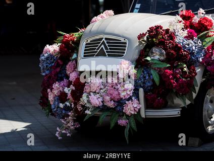 Minsk, Belarus, Juli 2023 – Retro Citroen Logo auf dem Kühlergrill eines Retro-Autos mit Blumen Stockfoto