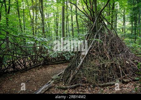 Asthütte im Wald im Ardey-Gebirge bei Herdecke, Nordrhein-Westfalen, Deutschland. Asthuette im Wald im Ardeygebirge bei Herdecke, Nordrhei Stockfoto