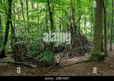 Asthütte im Wald im Ardey-Gebirge bei Herdecke, Nordrhein-Westfalen, Deutschland. Asthuette im Wald im Ardeygebirge bei Herdecke, Nordrhei Stockfoto