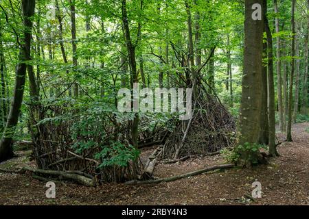 Asthütte im Wald im Ardey-Gebirge bei Herdecke, Nordrhein-Westfalen, Deutschland. Asthuette im Wald im Ardeygebirge bei Herdecke, Nordrhei Stockfoto