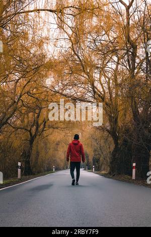 Naturliebhaber wandern im Herbst durch eine Weidengasse. Ein Tor zur unberührten Natur. Ein Mann geht eine Straße entlang. Freude der einzigartigen Natur Stockfoto