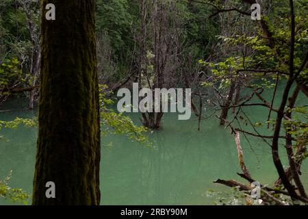 Blick auf das Reservoir Lake Vanganel, Slowenien Stockfoto