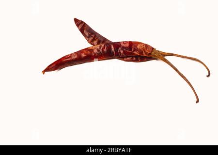 Hellrote getrocknete rote Chilischoten werden auf weißem Hintergrund angezeigt Stockfoto