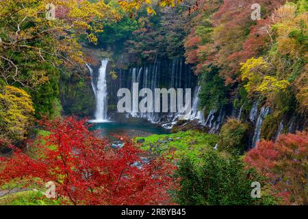 Shiraito Wasserfall im Herbst, Japan Stockfoto