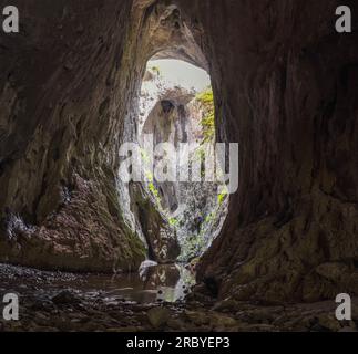 Paradies-Überwuchs am Fluss Zamna in der Nähe des Dorfes Plava im Osten Serbiens Stockfoto