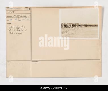 Soldaten in Camp Lee, VA, die während des 1. Weltkriegs Holz für militärische Zwecke vorbereiten. Das Bild zeigt den Prozess der Formung und des Schneidens von Stämmen und verwandelt diese von Rohstoffen in nutzbare Ressourcen für die Campinginfrastruktur. Dies war Teil der Bemühungen der Ausbildungslager, die notwendigen Ressourcen für die Kriegsanstrengungen bereitzustellen. Stockfoto