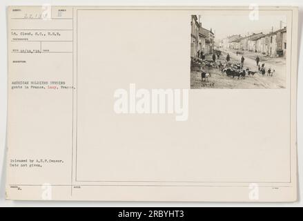 Amerikanische Soldaten hüten im Ersten Weltkrieg in Lucy Ziegen. Foto aufgenommen von LT. Cloud, S.C., U.S.R. am 18. Oktober 1918. Bild veröffentlicht von A.E.F. Censor. In der Überschrift fehlen ein bestimmtes Datum und zusätzliche Hinweise. Stockfoto