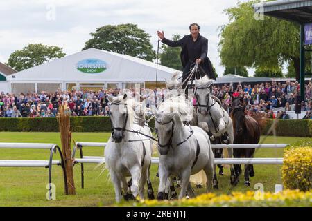 Harrogate, Vereinigtes Königreich – 11. Juli 2023. Die Great Yorkshire Show 164. öffnete ihre Türen für ausverkaufte Leute. 140,00 Personen werden erwartet, an der viertägigen Veranstaltung auf dem 250 Hektar großen Ausstellungsgelände in North Yorkshire teilzunehmen. Lorenzo „The Flying Frenchman“ trat im Hauptring vor einer riesigen Menge auf © Tom Holmes/Alamy Live News Stockfoto