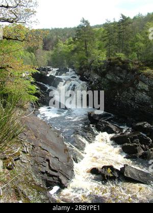 Rogie Falls sind eine Reihe von Wasserfällen auf dem Black Water, einem Fluss in Easter Ross in den Highlands von Schottland. Stockfoto