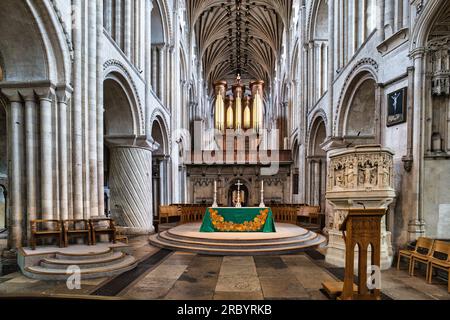 Norwich Cathedral Anve, Kanzel, Altar und Orgel Stockfoto
