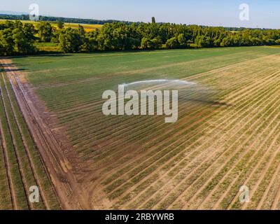 Luftaufnahme der Sprinklerbewässerungsanlage auf einem Feld im heißen Sommer Stockfoto