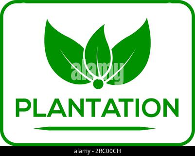 Weißes Hintergrund-Vektorlogo oder -Symbol, Plantagenlogo Stock Vektor