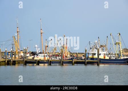 Den Oever, Niederlande. 9. Juli 2023. Den Oever Hafen mit den Fischerbooten und dem Leuchtturm. Hochwertiges Foto Stockfoto