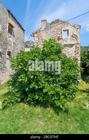 Fianona, Kroatien. 10. Juli 2023. Panoramablick auf das Dorf Stockfoto