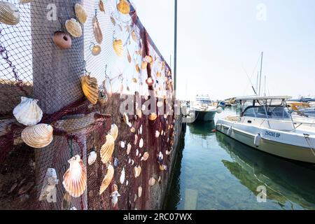 Opatija, Kroatien. 10. Juli 2023. Die Muscheln hing an einem Fischernetz im kleinen Hafen der Stadt Stockfoto