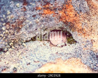 Zwei Euro-Cent-Münze in Sandsteinfelsen. Eine Münze zu werfen bedeutet den Wunsch, in der Zukunft zurückzukehren. Stockfoto