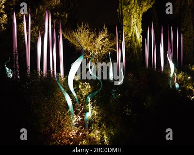 Neodym Reeds und Turquoise Marlins von Dale Chihuly, beleuchtet als Teil der Ausstellung Chihuly Nights in Kew Gardens, 4. Oktober 2019 Stockfoto