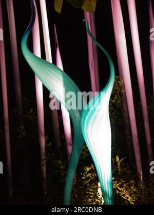 Neodym Reeds und Turquoise Marlins von Dale Chihuly, beleuchtet als Teil der Ausstellung Chihuly Nights in Kew Gardens, 4. Oktober 2019 Stockfoto