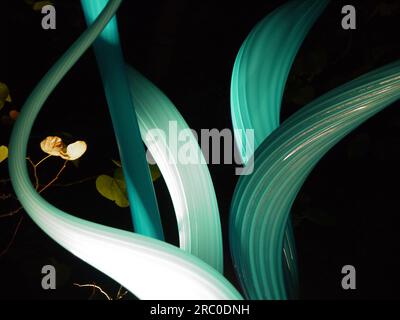 Details aus Turquoise Marlins von Dale Chihuly, beleuchtet als Teil der Ausstellung Chihuly Nights in Kew Gardens, 4. Oktober 2019 Stockfoto