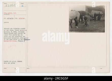 Soldaten der 101. Field Artillery Battery, E, 26. Division können auf diesem Foto Pferde beim Schuhputzen und Putzen sehen. Die Pferde servieren seit fünf Monaten an der Front und werden auf die bevorstehende Fahrt mit Grans vorbereitet. Der Ort dieser Aktivität ist Mussey-sur-seine, Frankreich. Das Foto wurde von A.E.F. übergeben Zensor, aber das Datum wurde nicht angegeben. Stockfoto