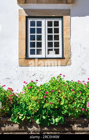 Nahaufnahme von der Fassade des Mateus-Palastes, Vila Real, Portugal. Stockfoto