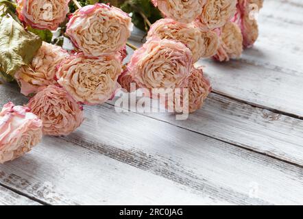 Getrocknete Rosenzweige auf hellem Holzhintergrund. Der Begriff Einsamkeit oder Alter. Unglückliche Liebe. Ein Verlust. Traurigkeit. Stockfoto