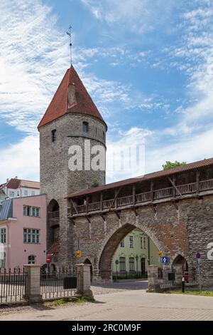 Tallinn, Estland - Juni 15 2019: Das Klostertor (Kloostrivärav) und der Nonnenturm (Nunnatorn), 1 der 66 Türme der Mauer von Tallinn. Stockfoto