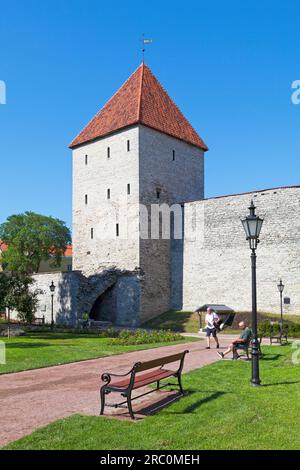 Tallinn, Estland - Juni 15 2019: Der Jungfrauenturm (Neitsitorn) ist 1 der 66 Türme der Mauer von Tallinn. Stockfoto