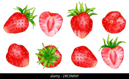 Aquarelle Erdbeeren, isoliert auf weißem Hintergrund. Designelemente für Verpackung, Logo, Karten usw. Stockfoto