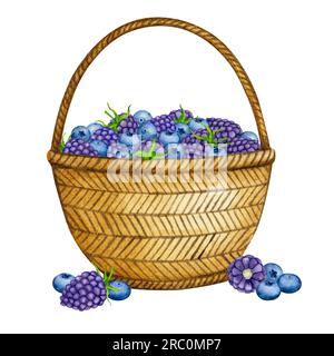 Korb mit Wildbeeren. BlackBerry und Blaubeere. Zusammensetzung der Aquarelle. Realistische Clipart für Verpackungen, Postkarten, Menüs, Logos, Stoffdrucke und Stockfoto