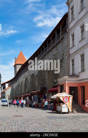 Tallinn, Estland - Juni 15 2019: Die Stadtmauern von Tallinn sind mittelalterliche Verteidigungsmauern, die um das Stadtzentrum errichtet wurden. Stockfoto