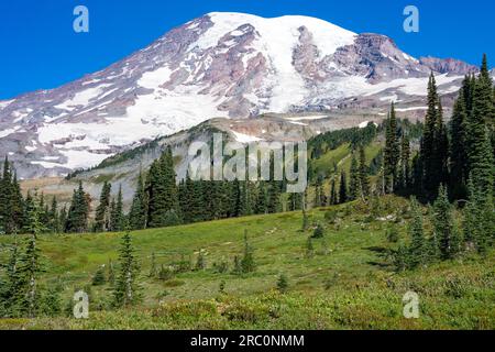 Mount Rainier vom Skyline Trail an einem sonnigen Tag aus gesehen | Mount Rainier National Park, Washington, USA Stockfoto