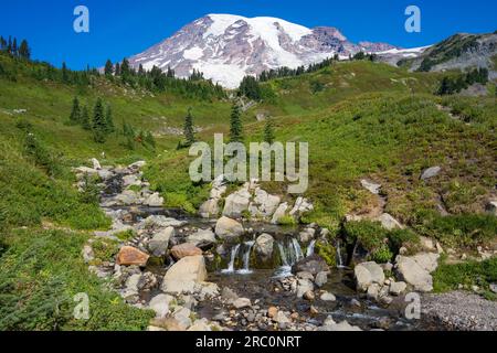 Mount Rainier und Wasserfall am Skyline Trail | Mount Rainier National Park, Washington, USA Stockfoto