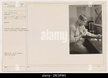 Bild von Sergeant Reyden von der Zentralen Medizinischen Abteilung Reinigungsgeräte und Läusfütterung in einem Labor in Dijon, Frankreich. Das Foto wurde am 9. September 1918 aufgenommen. Die Beschreibung besagt, dass es sich um eine Aufnahme im Labor handelt. Das Bild wurde vom A.E.F.-Zensor übergeben, aber das genaue Datum wird nicht angegeben. Stockfoto