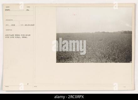 Ein am 10. Dezember 1918 aufgenommenes Foto zeigt ein Flugzeugwrack, das sechs Meilen (6,4 km) von Love Field, Texas, entfernt ist. Das Bild zeigt die Folgen des Absturzes und die Schäden am Flugzeug. Diese Dokumentation wurde als Teil der amerikanischen Militäraktivitäten während des Ersten Weltkriegs aufgenommen Stockfoto